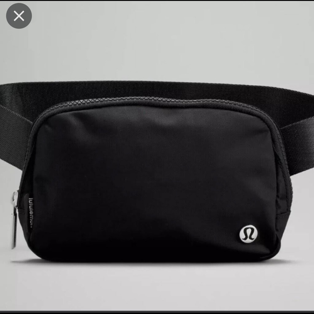 NWT Everywhere belt bag